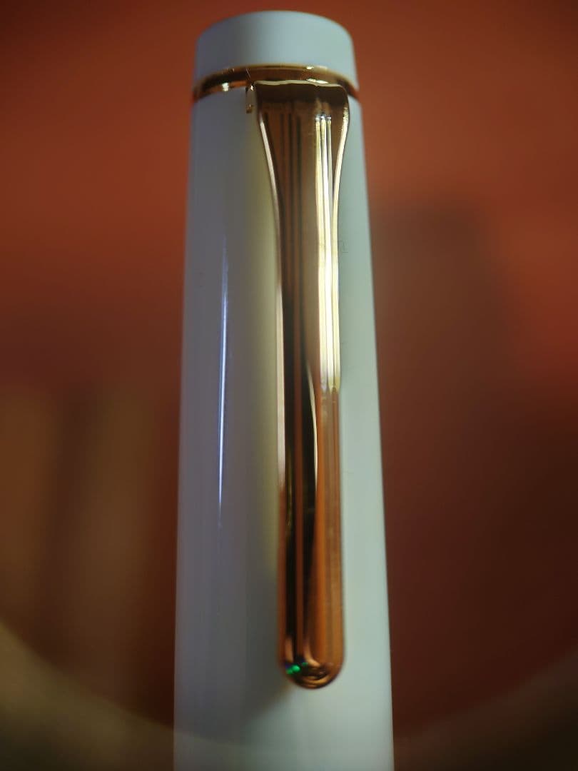 WANCHER × SAILOR　万年筆　プロギア　ペン先 21K 字幅MF