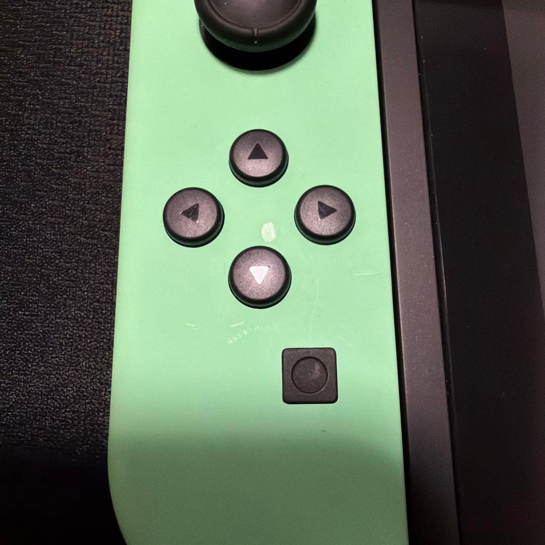 Nintendo Switch あつまれどうぶつの森仕様