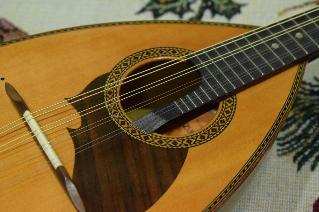 【新品弦張り替え済】Suzuki マンドリン M-210【ハードケース付】