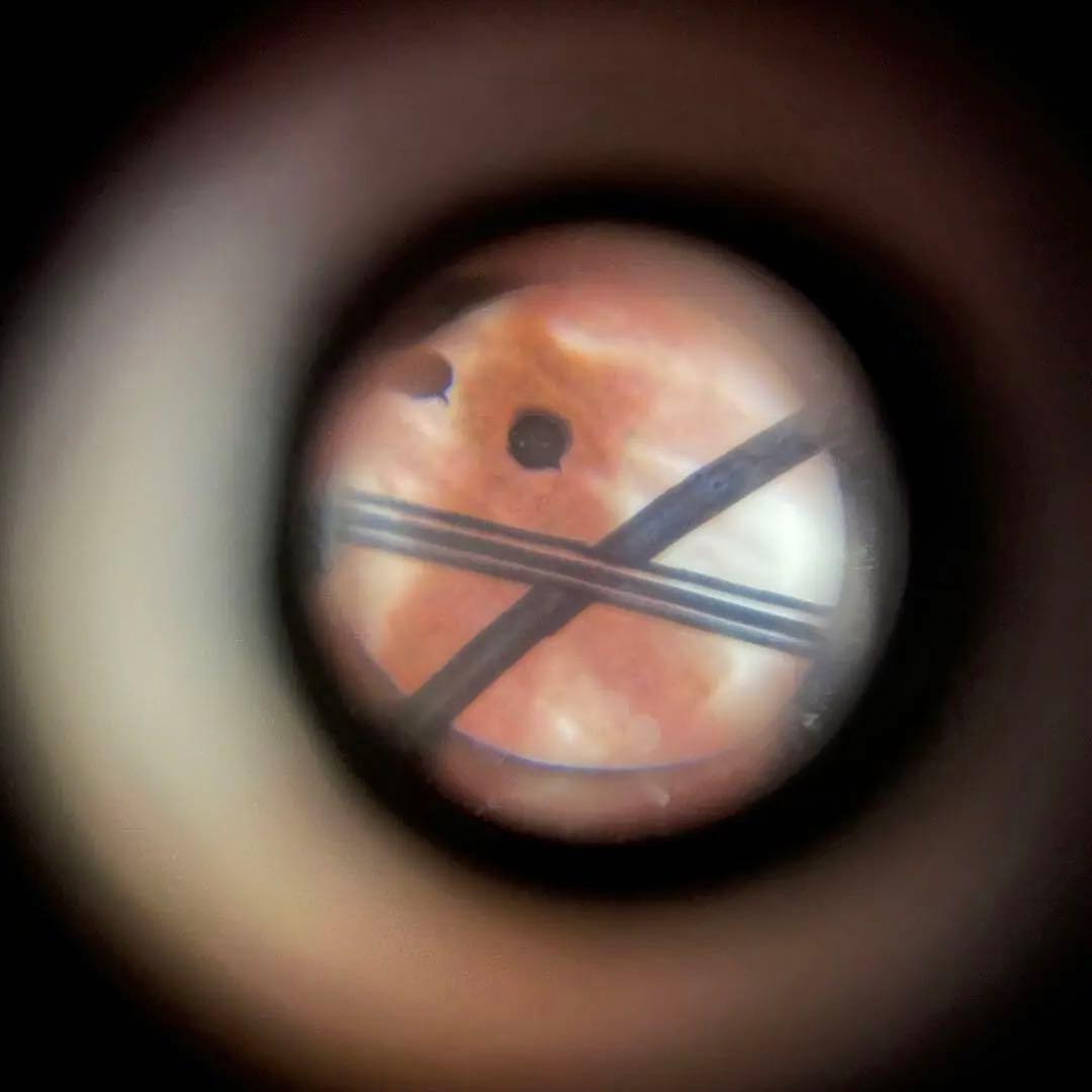 ITZY ユナ BLAH BLAH BLAH 直筆サイン入りチェキ ポラロイド