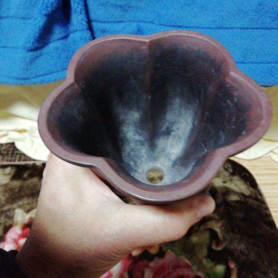 中国鉢、ミニ盆栽鉢、盆栽鉢、盆栽小鉢、鉢、植木鉢、山野草鉢、盆栽