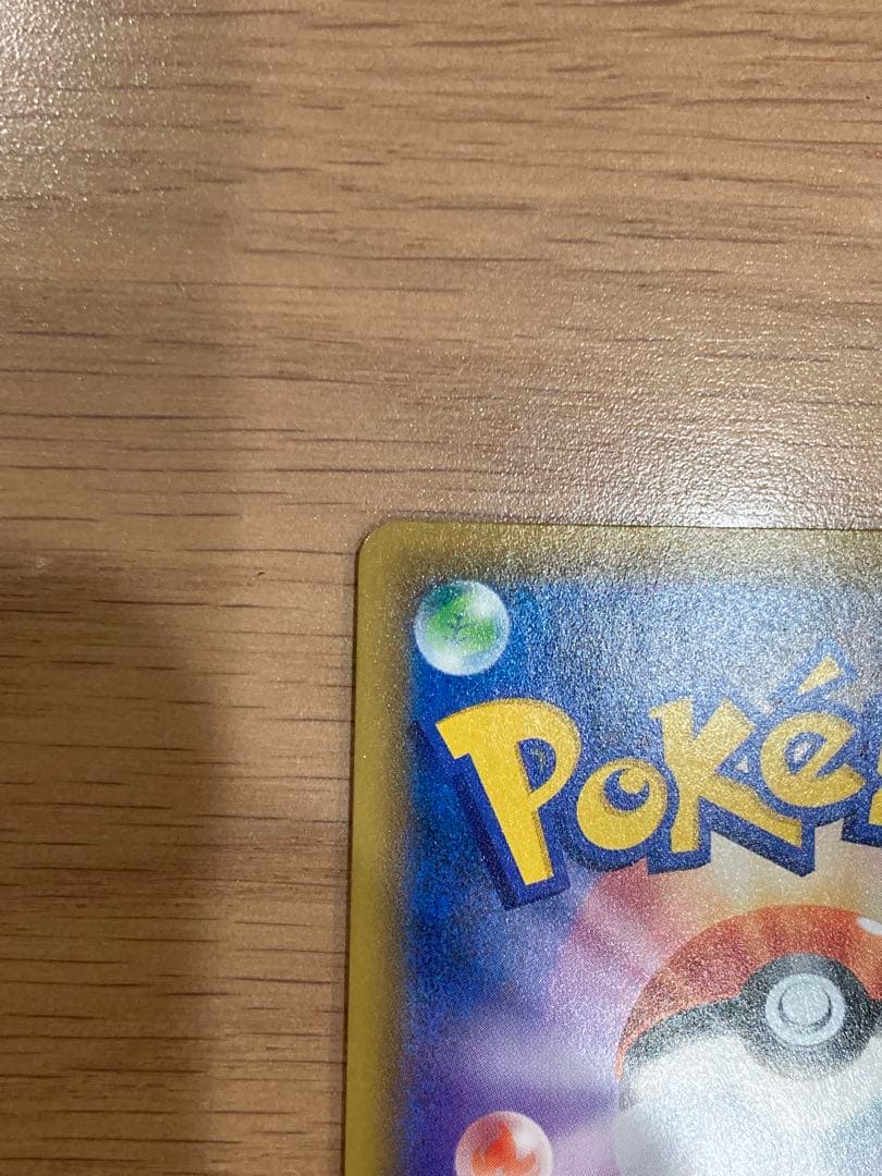 エリカのおもてなし SR