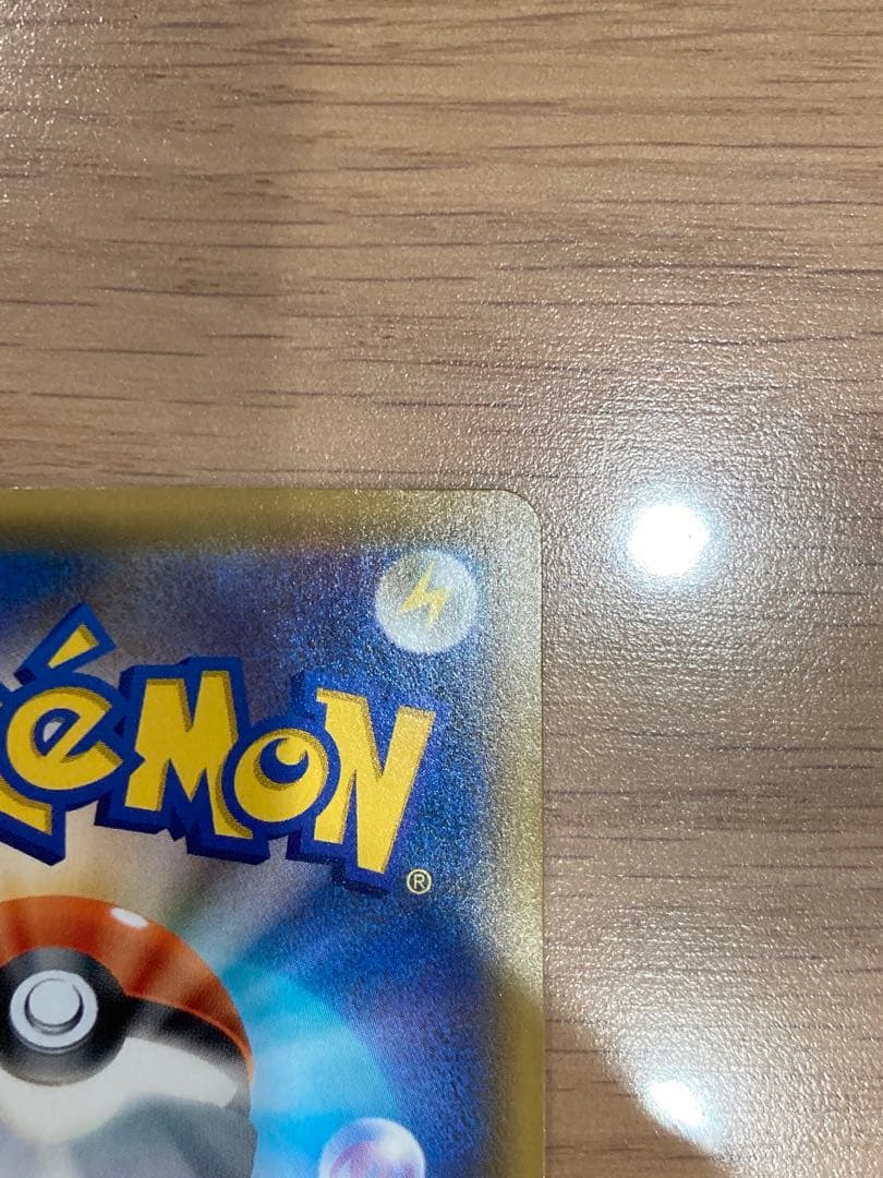 エリカのおもてなし SR