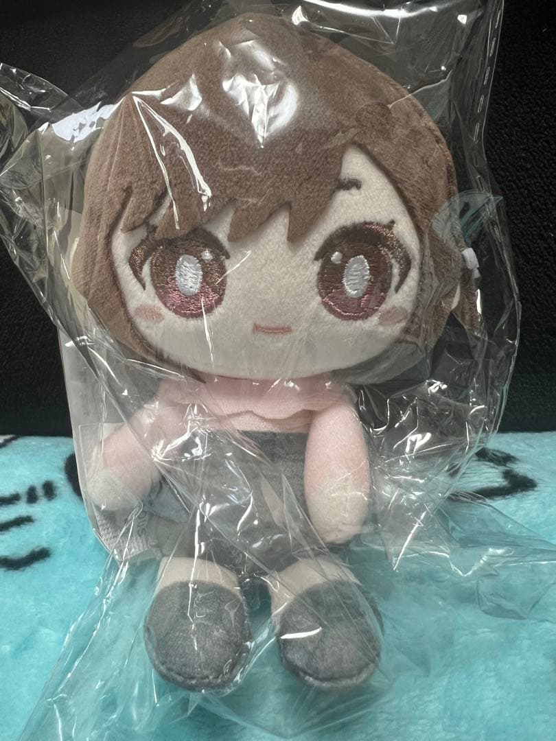 t*n様 はぴこれ プロセカ ぬいぐるみ 東雲絵名