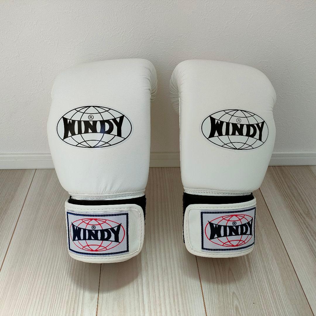 【美品✨】WESING/WINDY ボクシンググローブセット