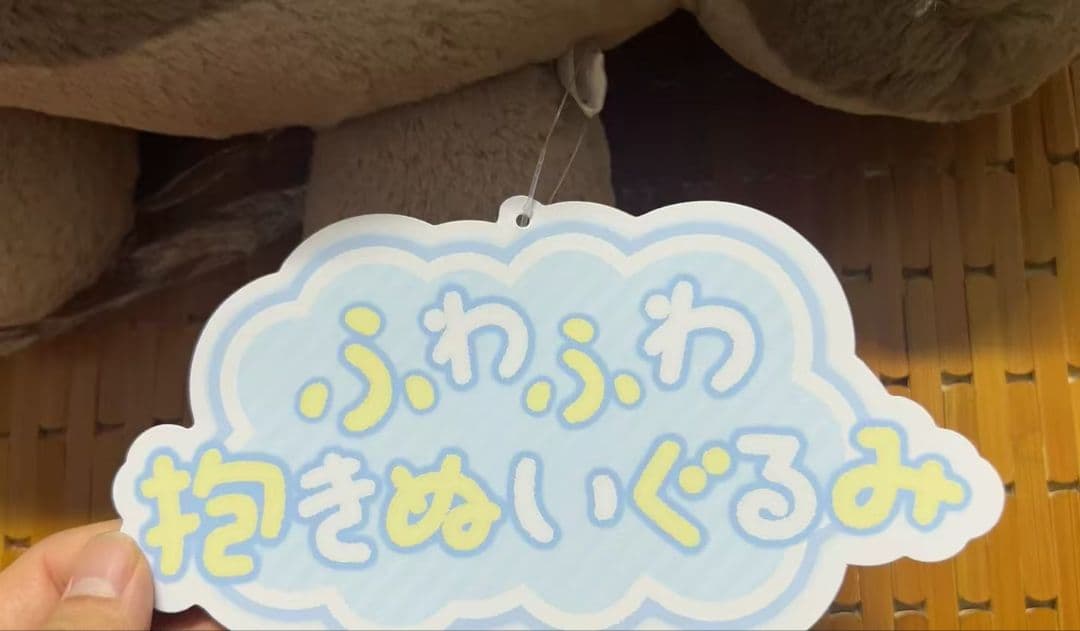 ポケットモンスター ふわふわ抱きぬいぐるみ ドオー ポケモンセンター　#12