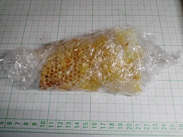 昆虫標本　ニホンミツバチ　巣盤　1番　2590g