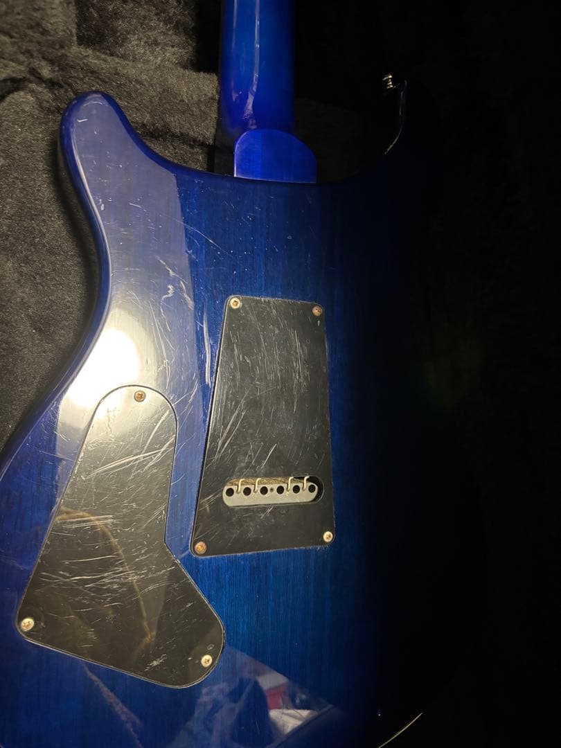 ギター Paul Reed Smith PRS SE custom24