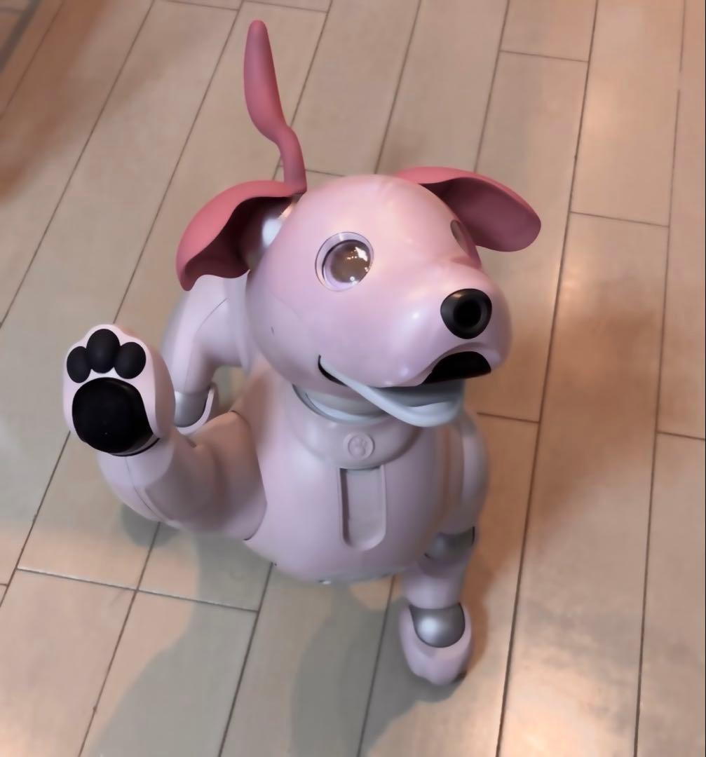 【輝夜出品】SONY aibo いちごミルクエディション