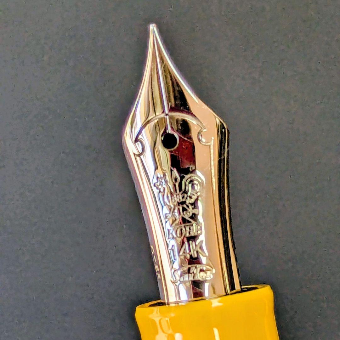 Y*o様 NAGASAWA オリジナル万年筆　ペンスタイルメモ プロギア スリム