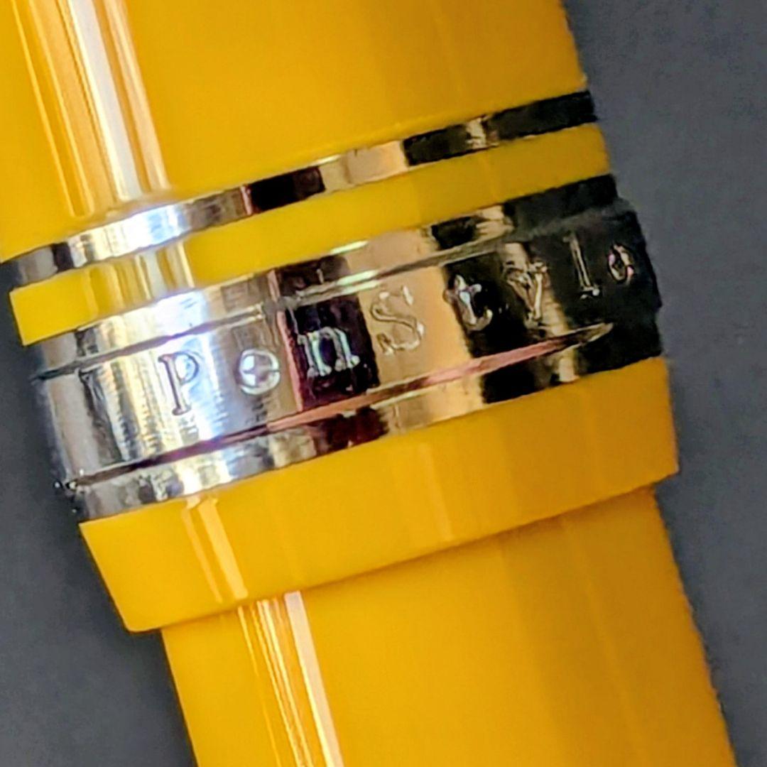 Y*o様 NAGASAWA オリジナル万年筆　ペンスタイルメモ プロギア スリム