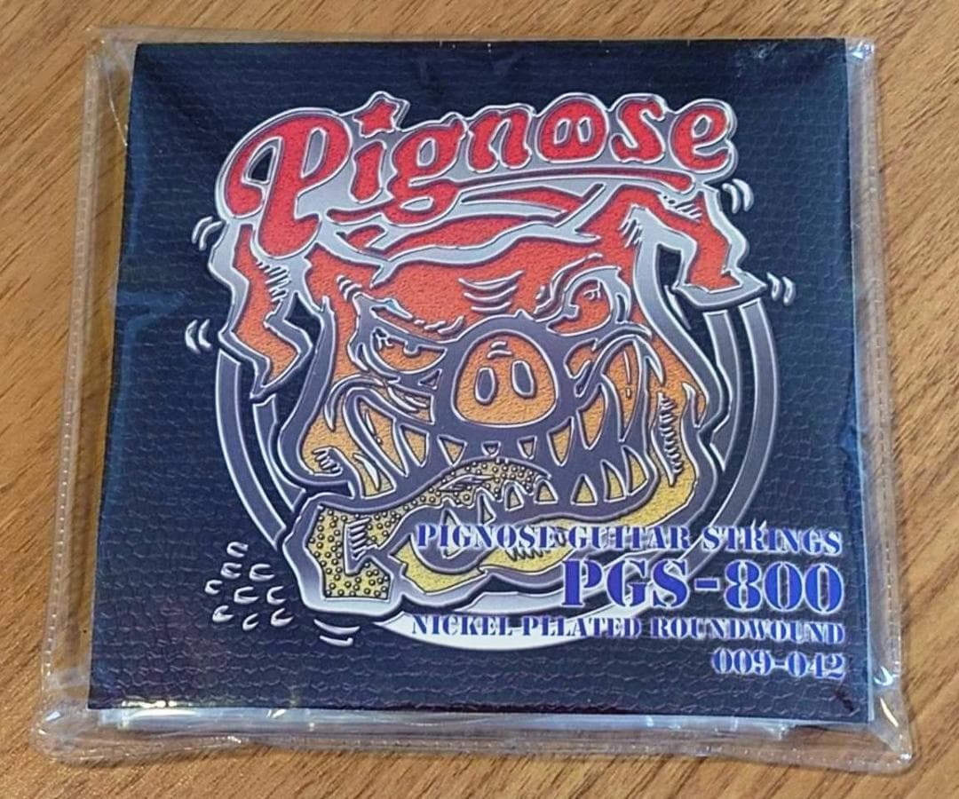Pignose PGG-200 FM　スピーカー内蔵ギターのベストセラー！！