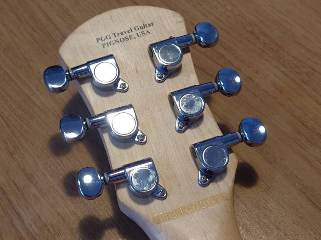 Pignose PGG-200 FM　スピーカー内蔵ギターのベストセラー！！