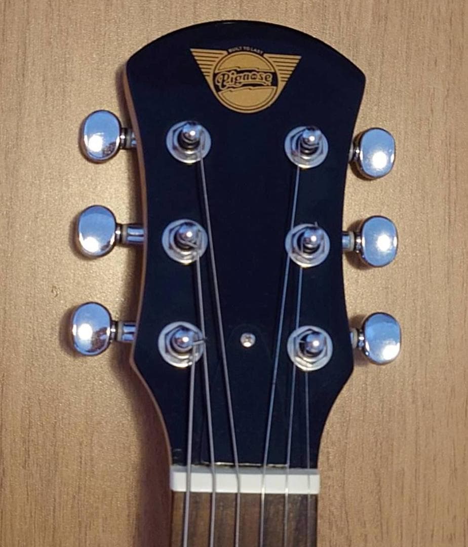 Pignose PGG-200 FM　スピーカー内蔵ギターのベストセラー！！