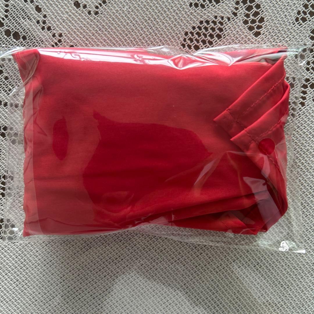 少年仮面ライダー隊エンブレム、マフラー