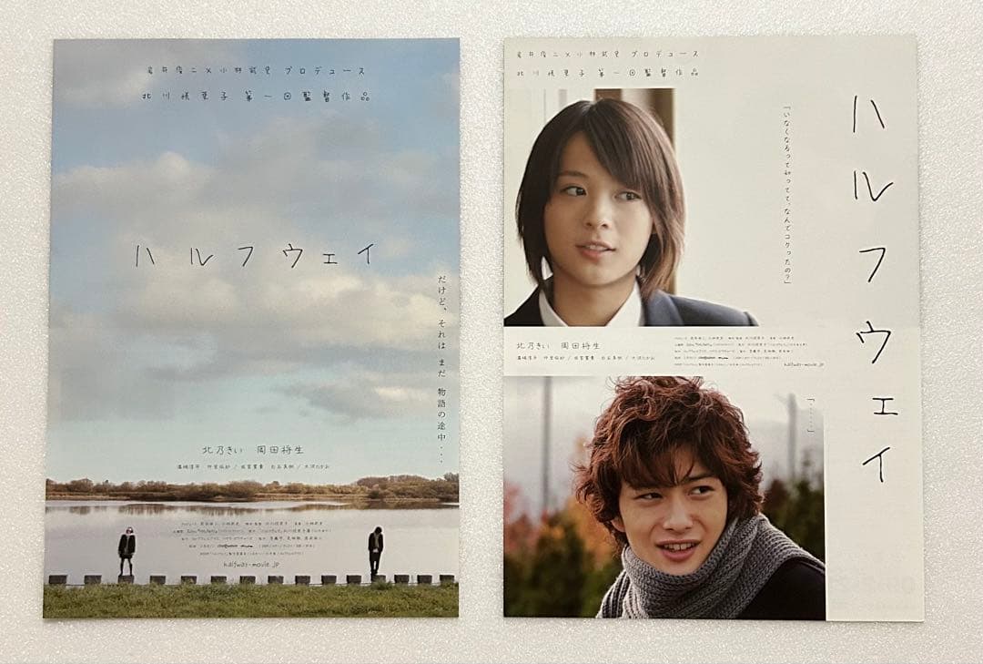 映画チラシ フライヤー 【 岩井俊二 監督関連作品 】