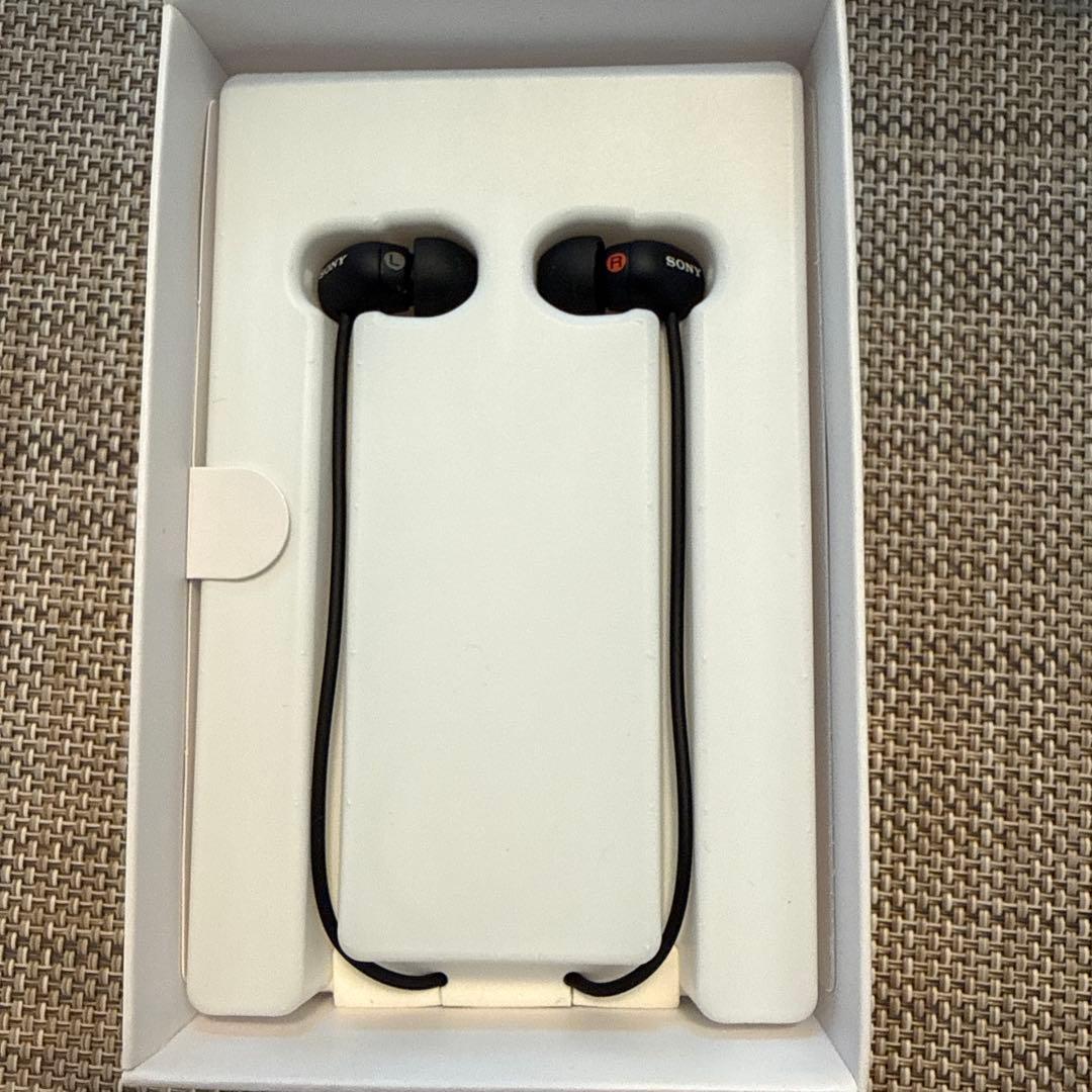 SONY ソニー WALKMAN ウォークマン NA-A105HN