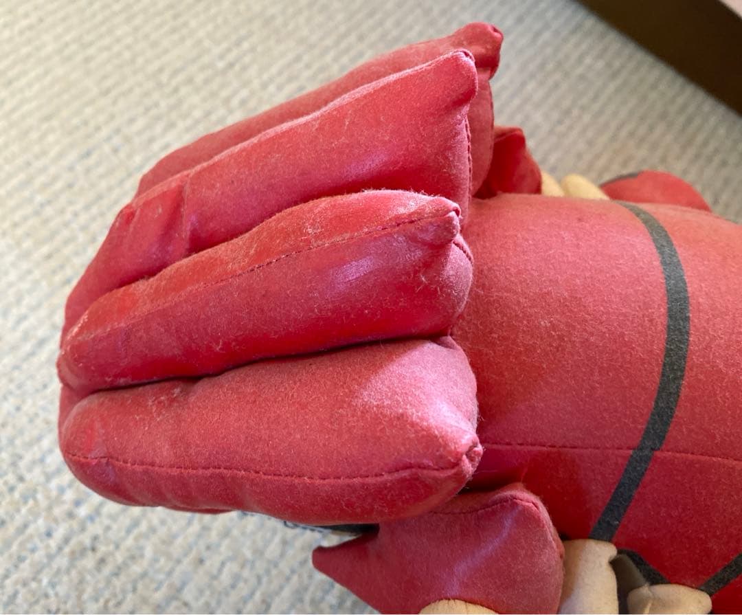 ポケモン　ポケパーク　レア　グラードン　ぬいぐるみ　入手困難　当時　貴重