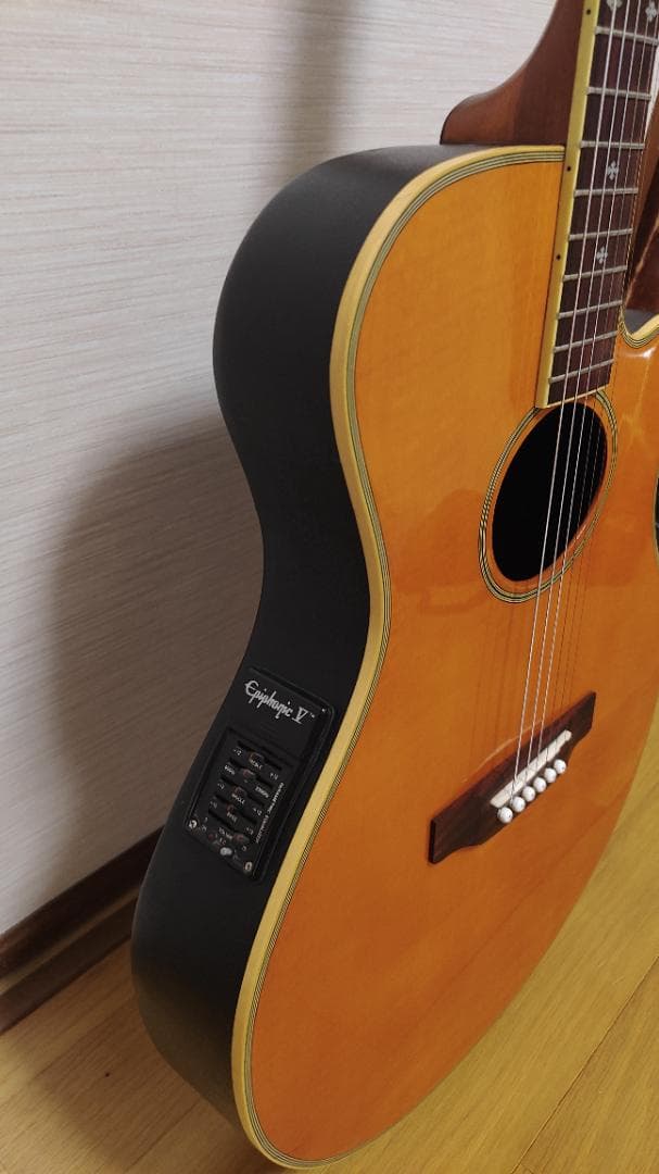 Epiphone El Rio (ケース付き)