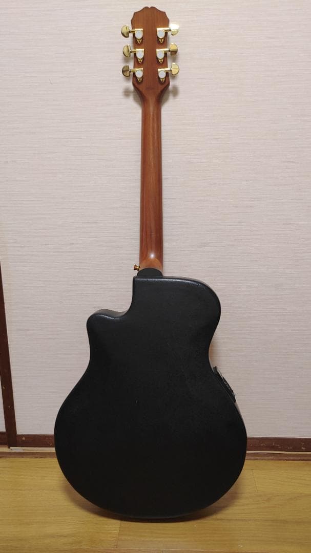 Epiphone El Rio (ケース付き)