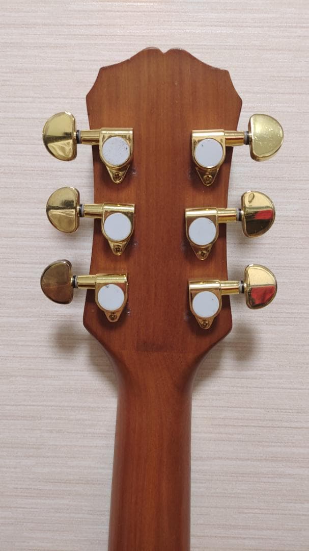 Epiphone El Rio (ケース付き)