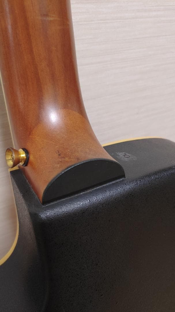 Epiphone El Rio (ケース付き)