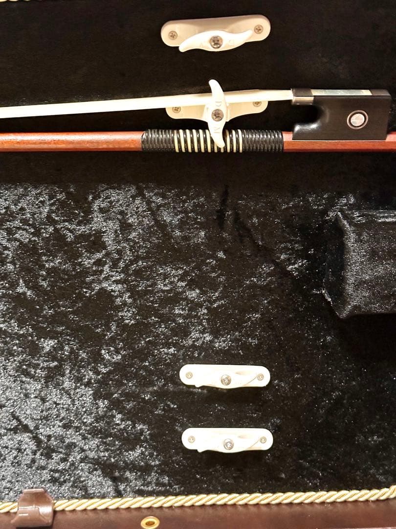 【希少】Musafia Lievissima ヴィオラケース