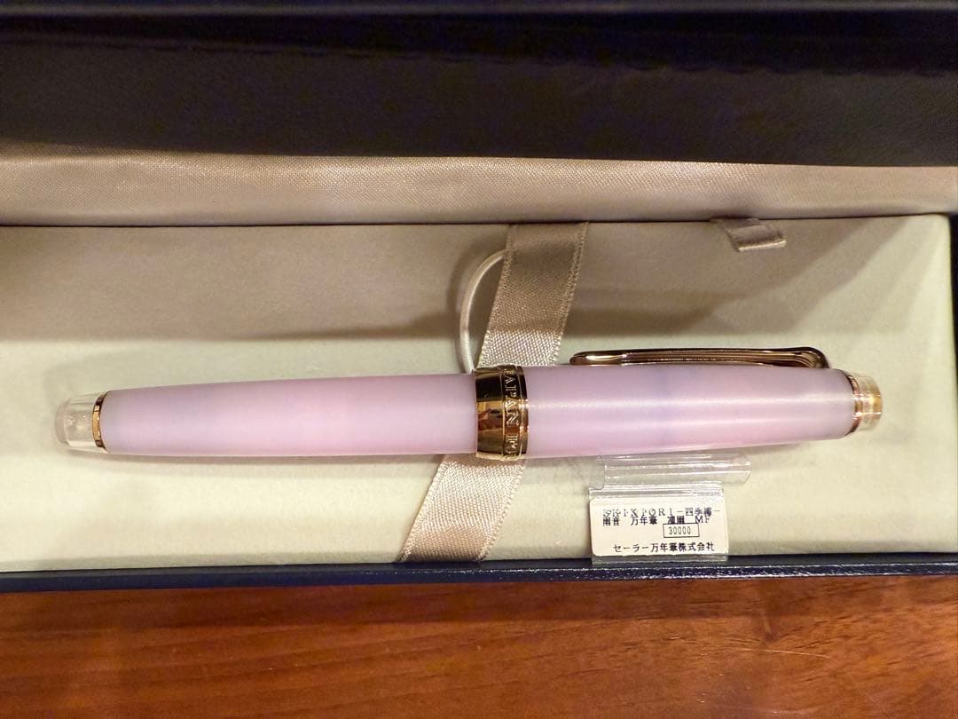 SAILOR セーラー万年筆　凍雨 21金MF
