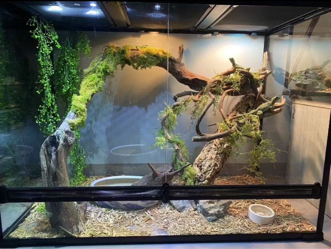 爬虫類両生類飼育ケージ組み立て式 ガラス飼育ケージ60x40x80cm引取り限定