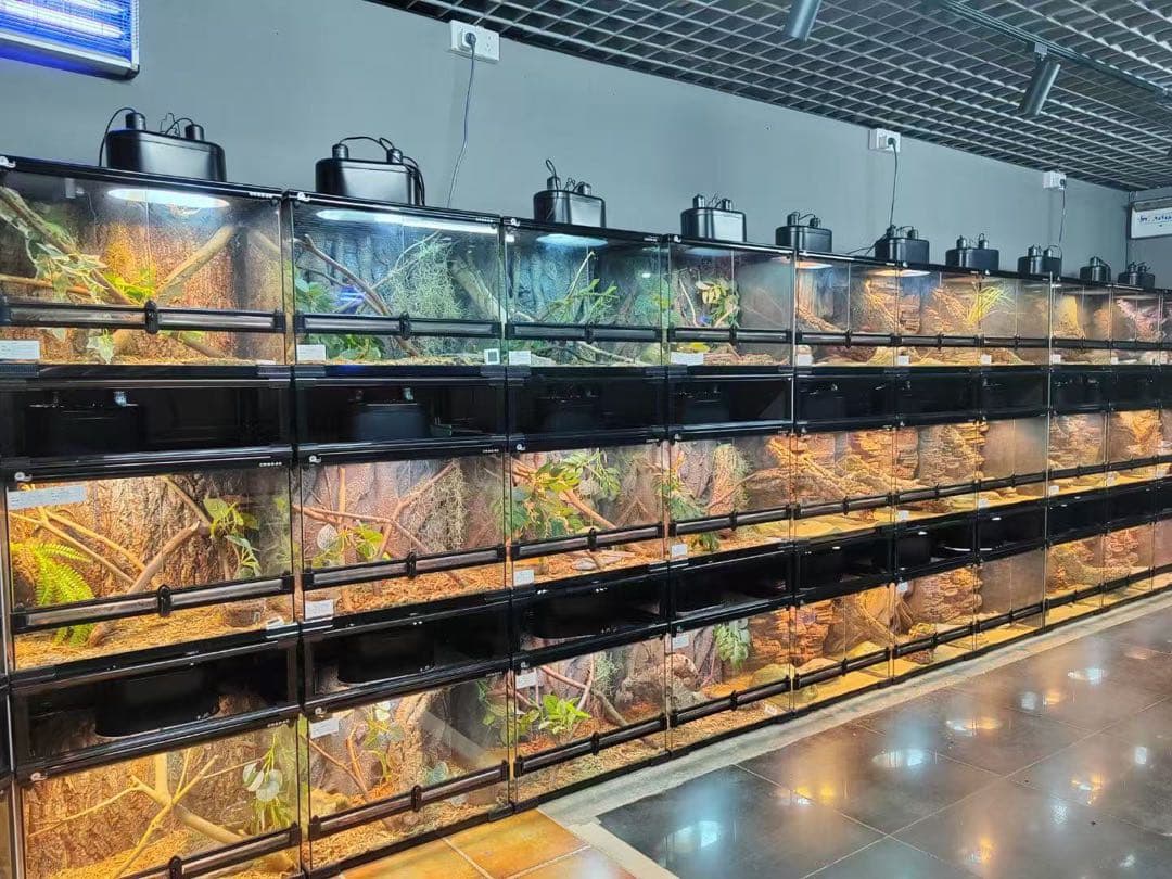 爬虫類両生類飼育ケージ組み立て式 ガラス飼育ケージ60x40x80cm引取り限定