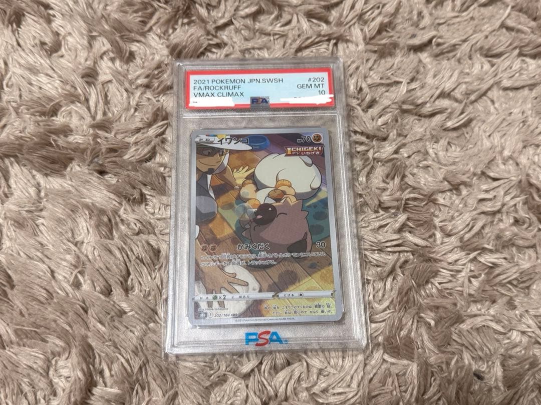 イワンコ　CHR PSA10