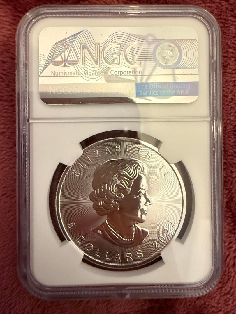 銀貨 2022  Maple Leaf MS69