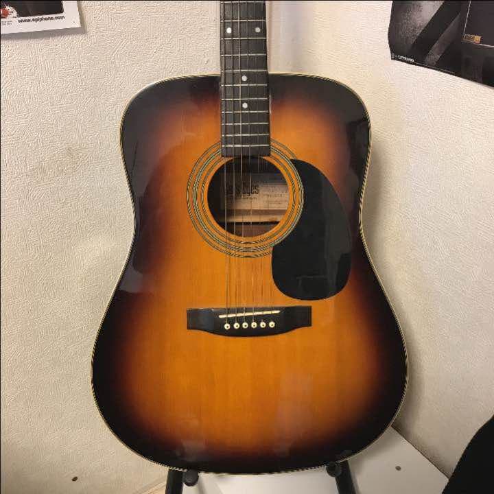 cat's eyesアコースティックギター　ソフトケース付き