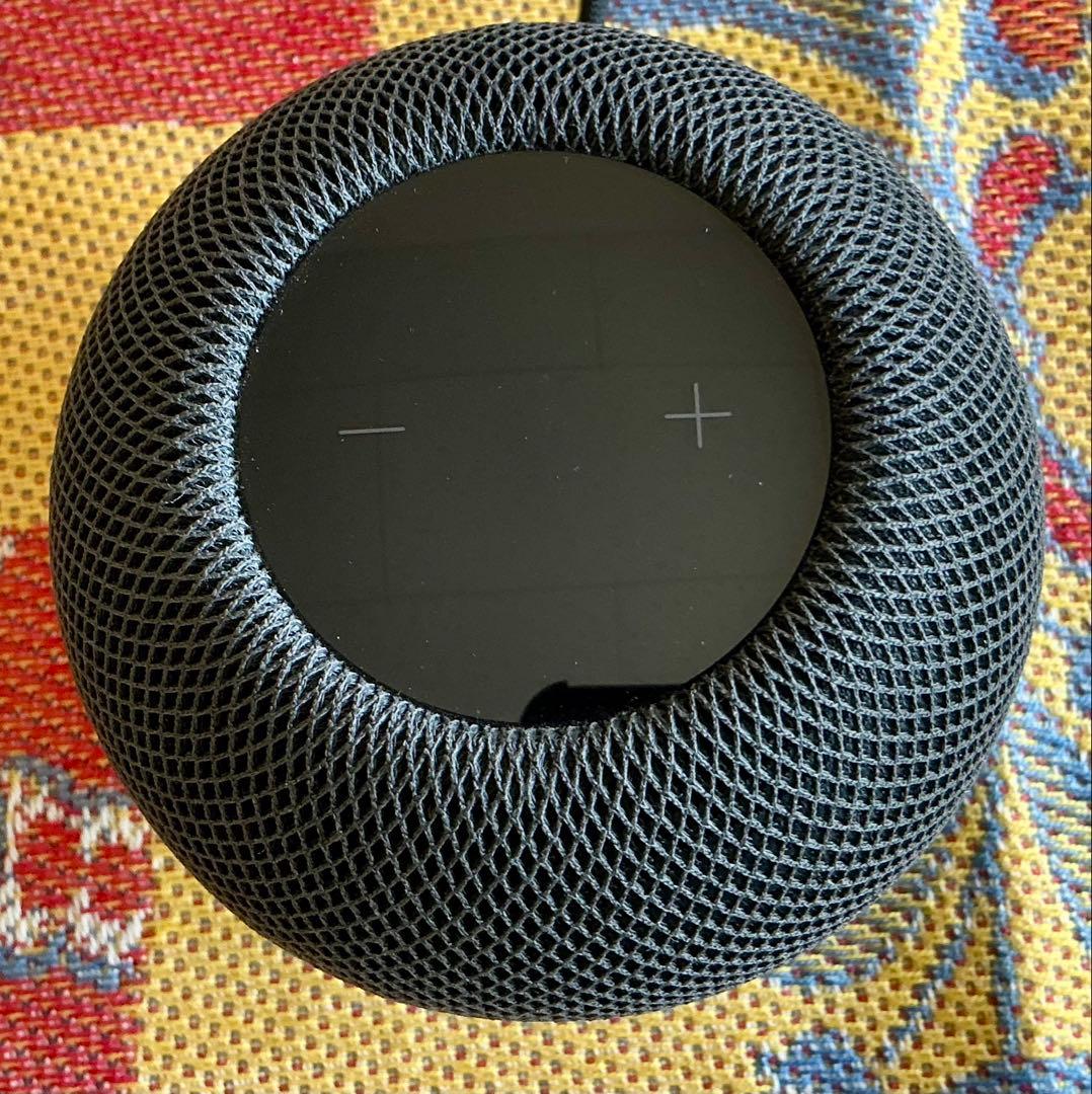 Apple Pod mini スペースグレー/保証残有り