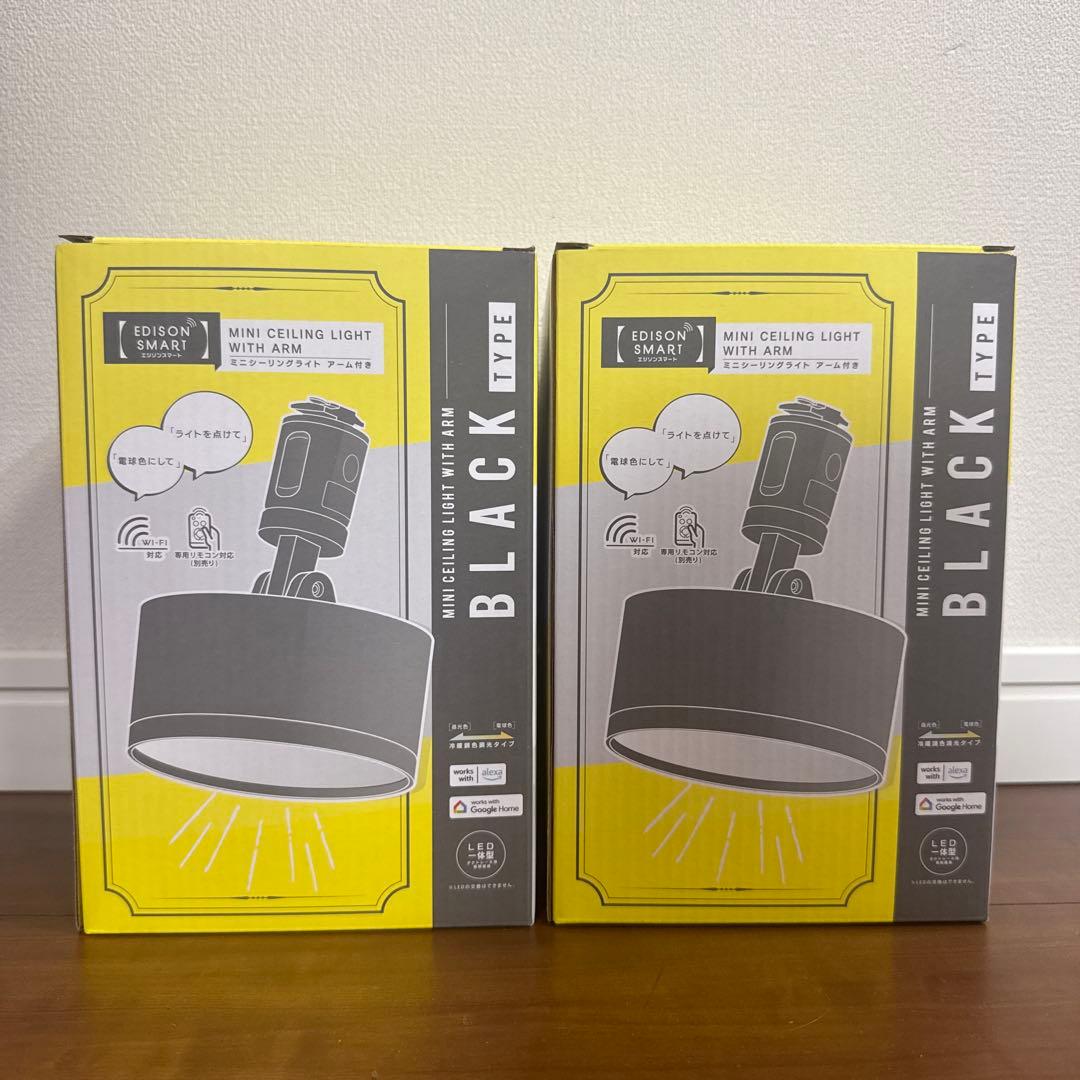 【新品】エジソンスマート ミニシーリングライト アーム付き ダクトレール用　2個