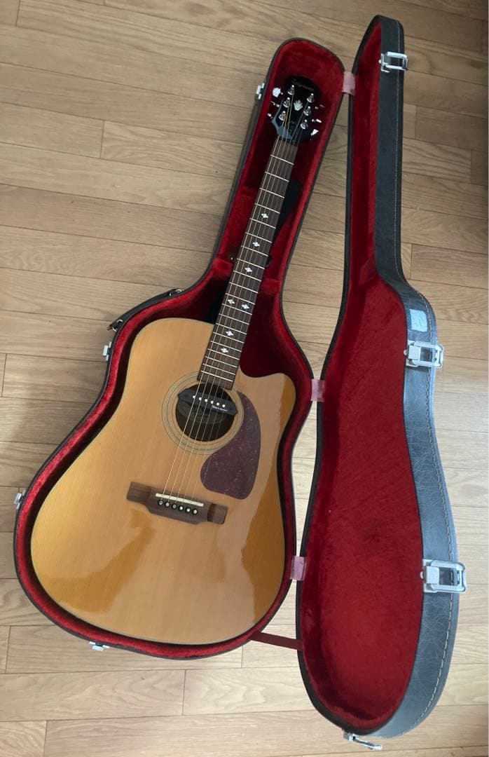 Epiphone PR350CE ハードケース付き