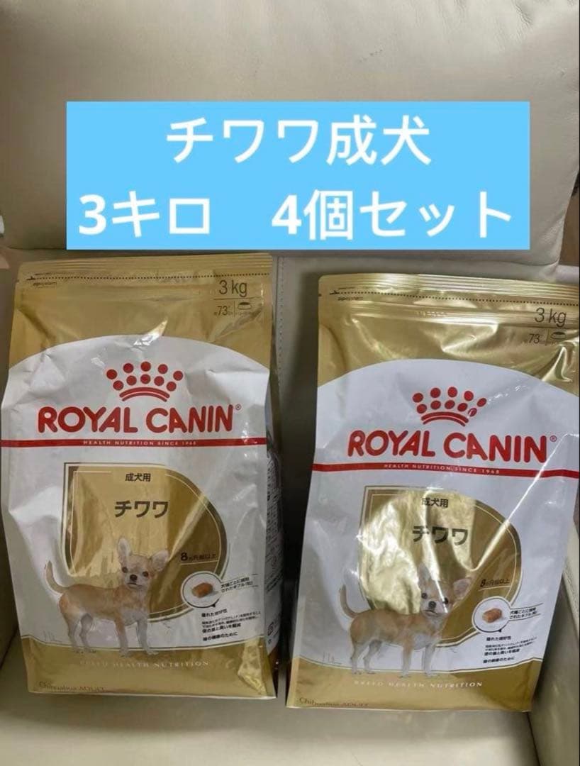  CANIN チワワ成犬 3キロ 4個セット