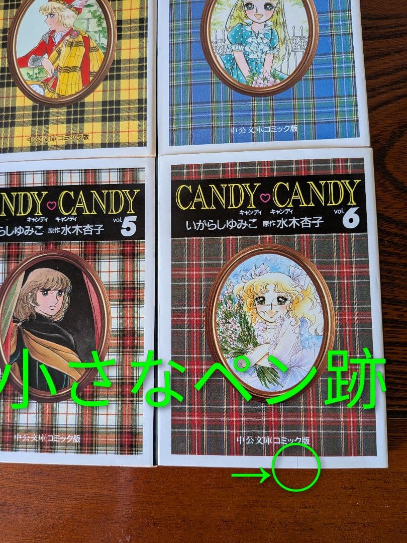 【キャンディ♡キャンディ】文庫版 全6巻　専用箱入り　いがらしゆみこ