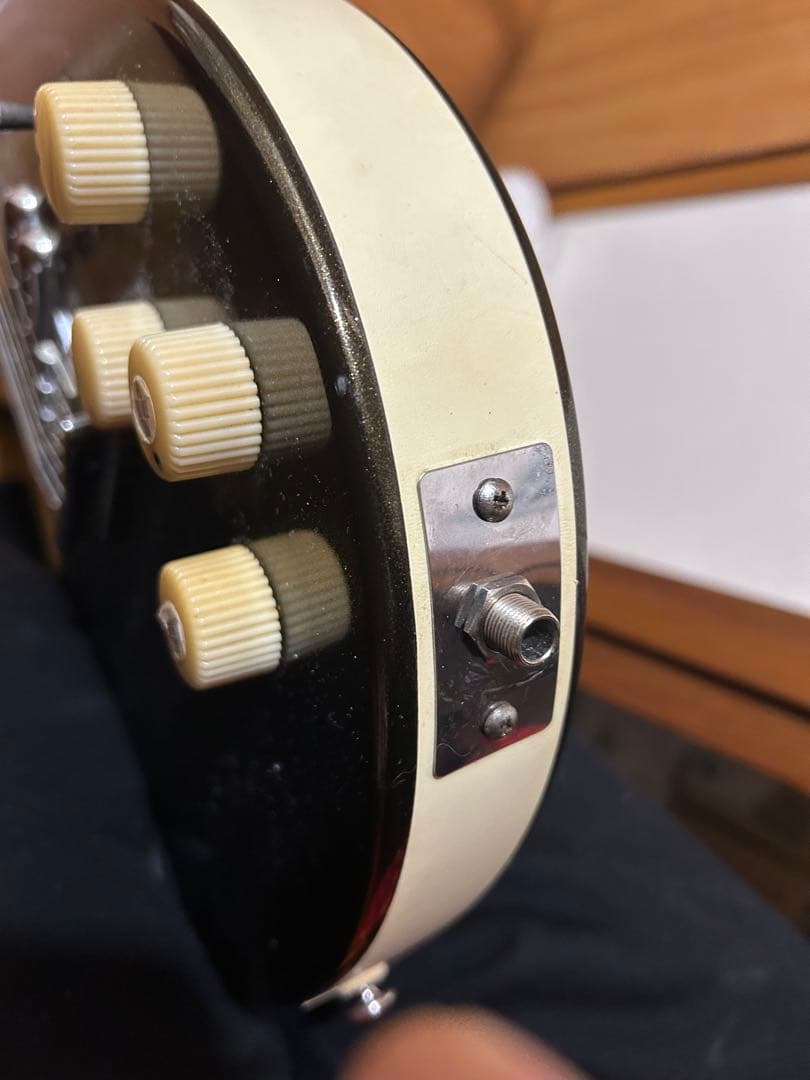 値下げ！ダンエレクトロの\"HODAD\"（ホダッド）