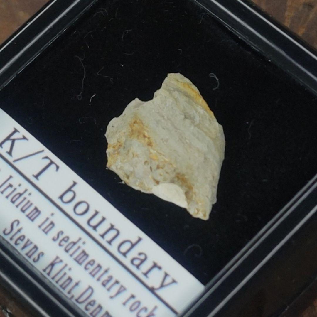 入手不可！小惑星のかけら Ｋ-Ｔ境界層（K/Pg境界頁岩）　標本