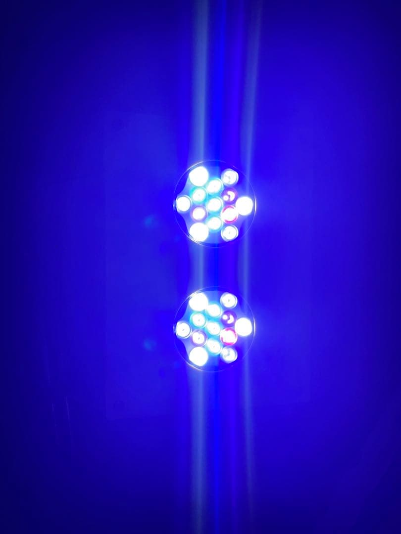 Hydna 26 ワイヤー付き