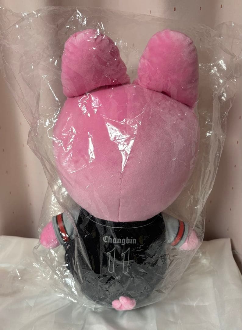 straykids トゥエッキ スタジアム ぬいぐるみ