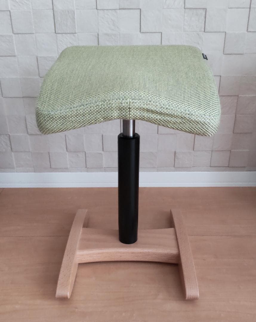 美品 Balans Synergy バランスシナジー カバー付 北欧 腰痛