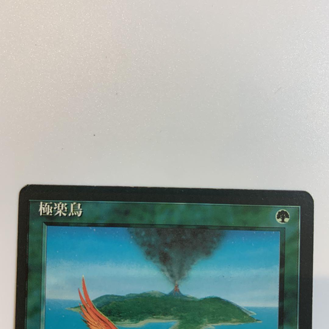 MTG 極楽鳥　4版黒枠　日本語1 値下げ