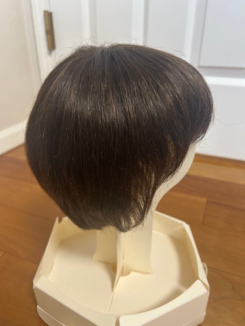 ジュリアオージェ　アートネイチャー 医療用ウィッグ　ANCS お手入れセット付