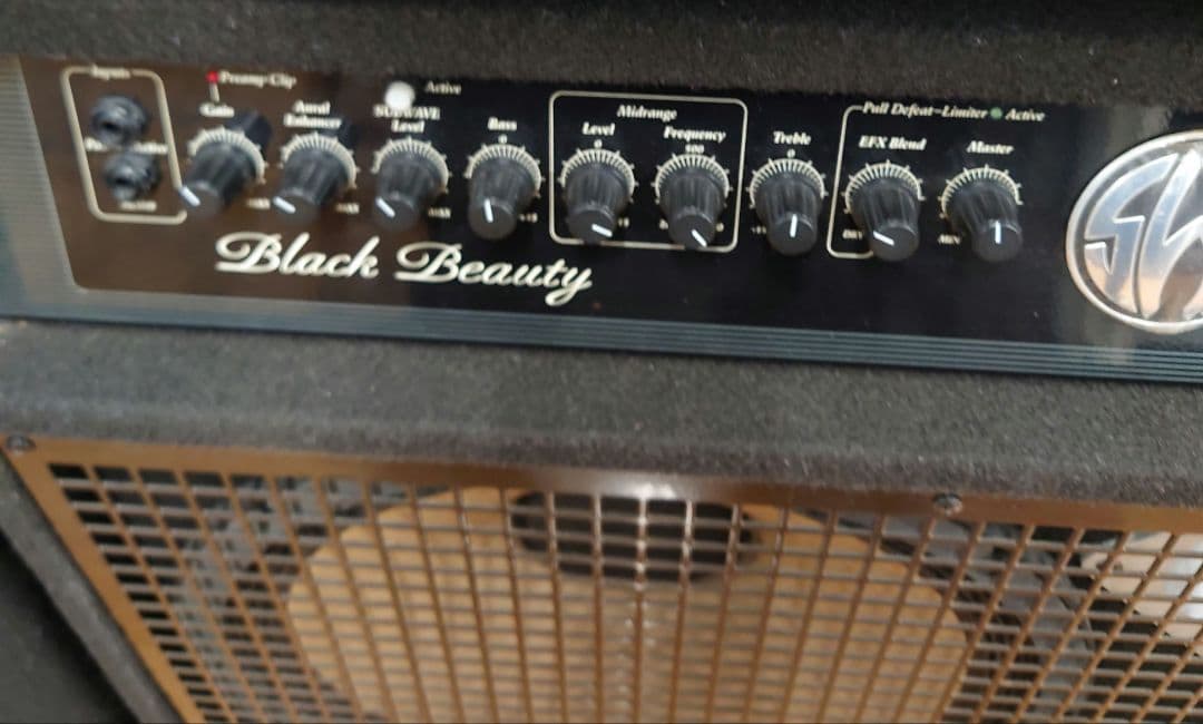 ■■SWR tBlack Beauty ベース用コンボアンプ【真空管アンプ】