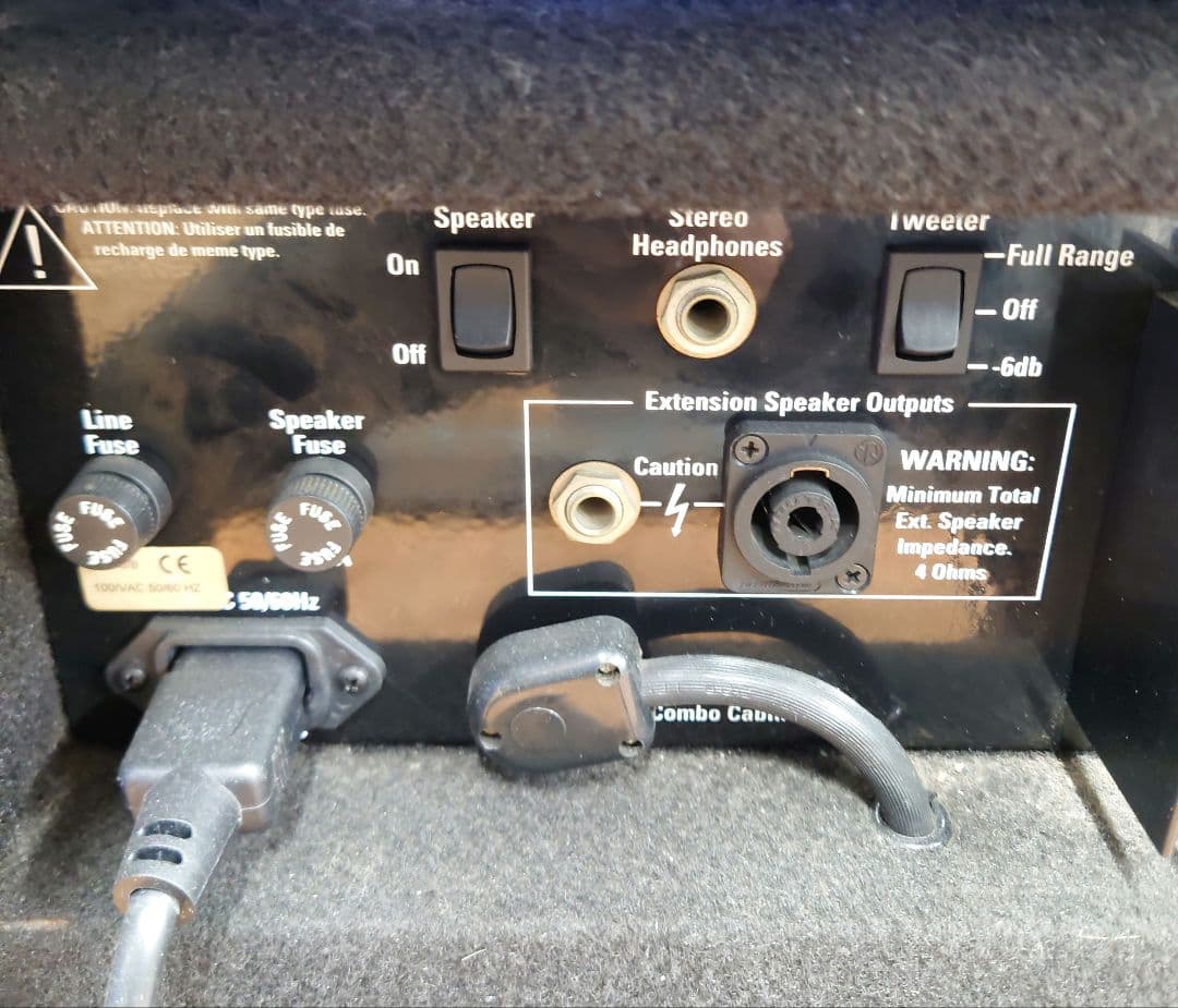 ■■SWR tBlack Beauty ベース用コンボアンプ【真空管アンプ】