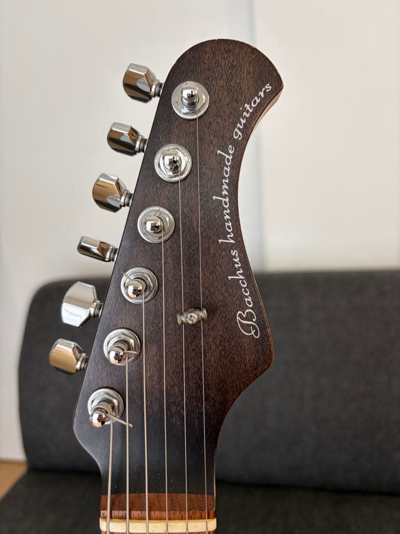 Bacchus handmade series テレキャスター