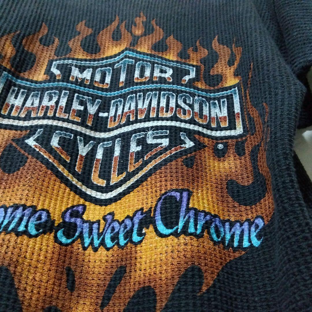 90s USA製 ハーレーダビットソン HOLOUBEK フレイム Tシャツ