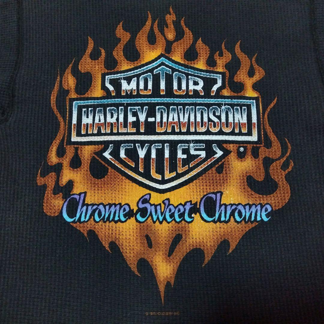 90s USA製 ハーレーダビットソン HOLOUBEK フレイム Tシャツ